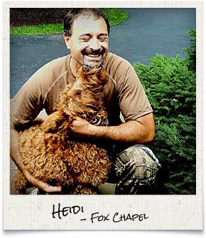 The Bee Hunter on the job with Heidi in Fox Chapel, PA